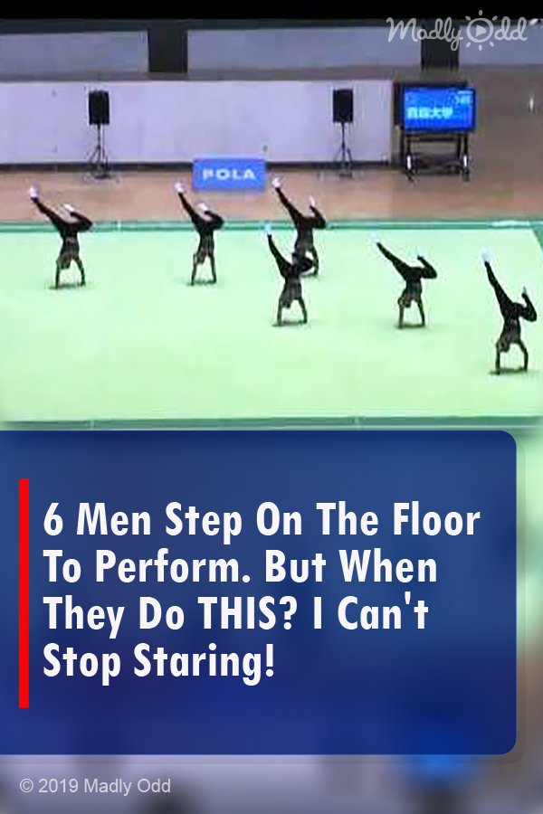6 Men Step On The Floor To Perform. But When They Do THIS? I Can\'t Stop Staring!