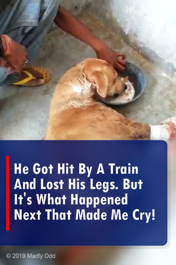 He Got Hit By A Train And Lost His Legs. But It\'s What Happened Next That Made Me Cry!