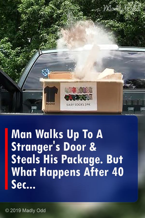 Man Walks Up To A Stranger\'s Door & Steals His Package. But What Happens After 40 Sec...
