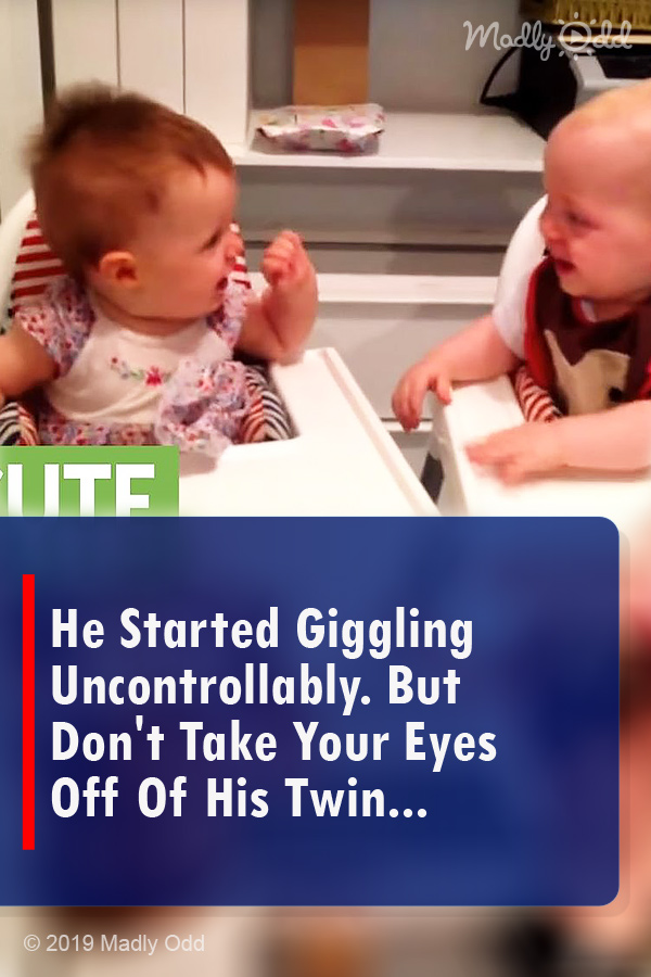 He Started Giggling Uncontrollably. But Don\'t Take Your Eyes Off Of His Twin...