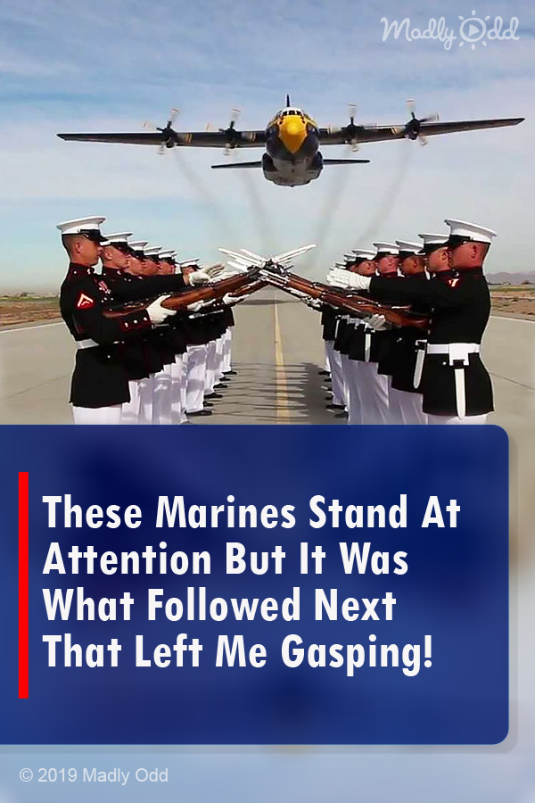These Marines Stand At Attention But It Was What Followed Next That Left Me Gasping!