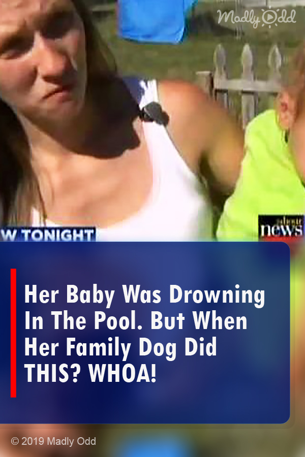 Her Baby Was Drowning In The Pool. But When Her Family Dog Did THIS? WHOA!