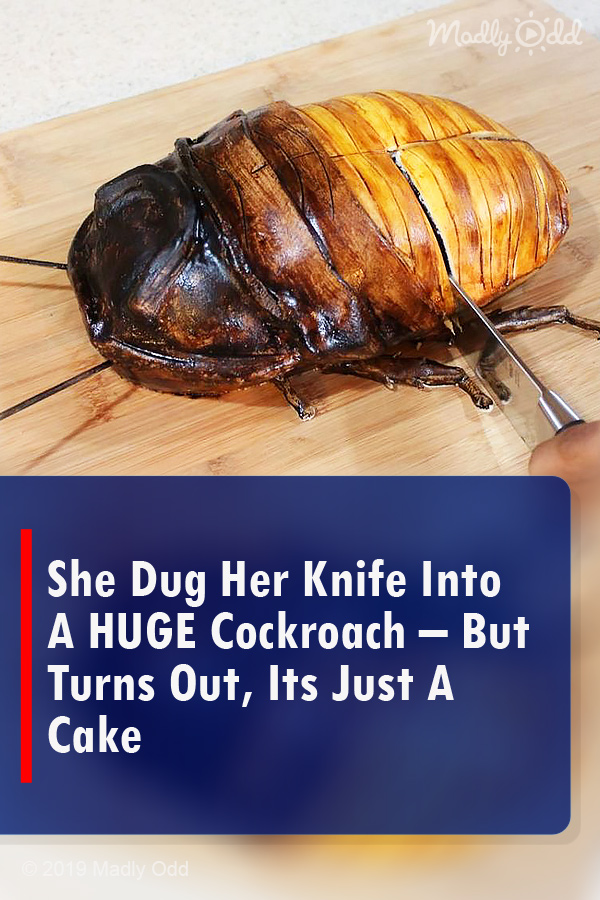 She Dug Her Knife Into A HUGE Cockroach – But Turns Out, Its Just A Cake