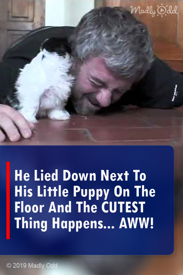 He Lied Down Next To His Little Puppy On The Floor And The CUTEST Thing Happens... AWW!