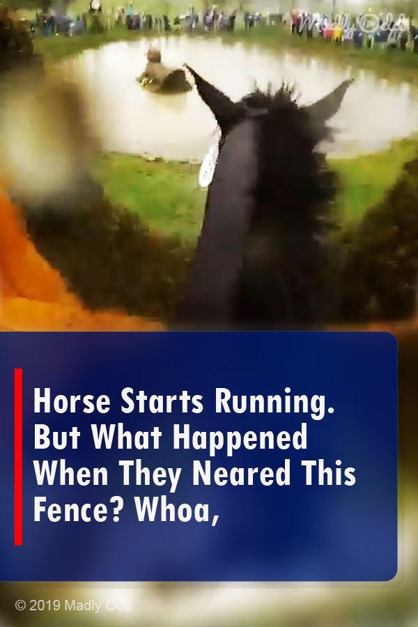 Horse Starts Running. But What Happened When They Neared This Fence? Whoa,