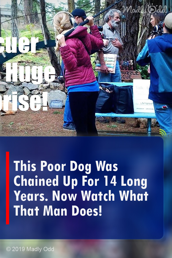 This Poor Dog Was Chained Up For 14 Long Years. Now Watch What That Man Does!