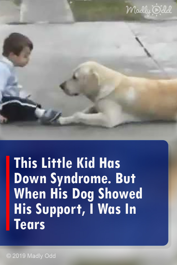 This Little Kid Has Down Syndrome. But When His Dog Showed His Support, I Was In Tears