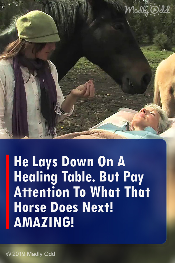 He Lays Down On A Healing Table. But Pay Attention To What That Horse Does Next! AMAZING!