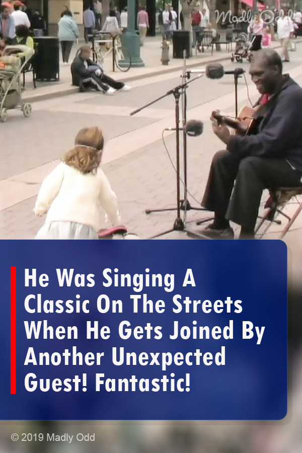 He Was Singing A Classic On The Streets When He Gets Joined By Another Unexpected Guest! Fantastic!