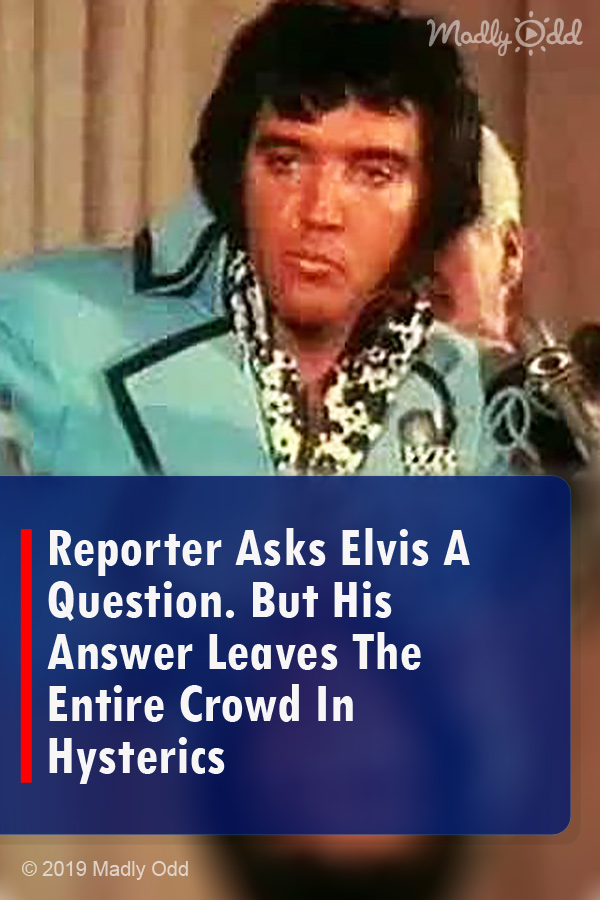 Reporter Asks Elvis A Question. But His Answer Leaves The Entire Crowd In Hysterics