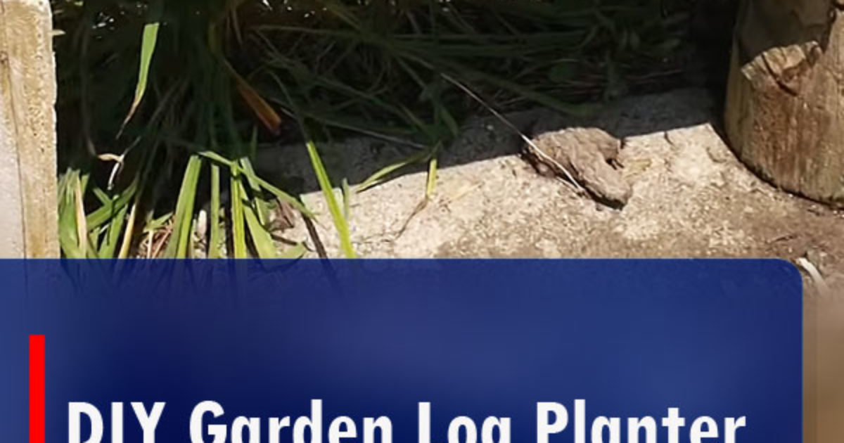 Pinterest Hidden Image