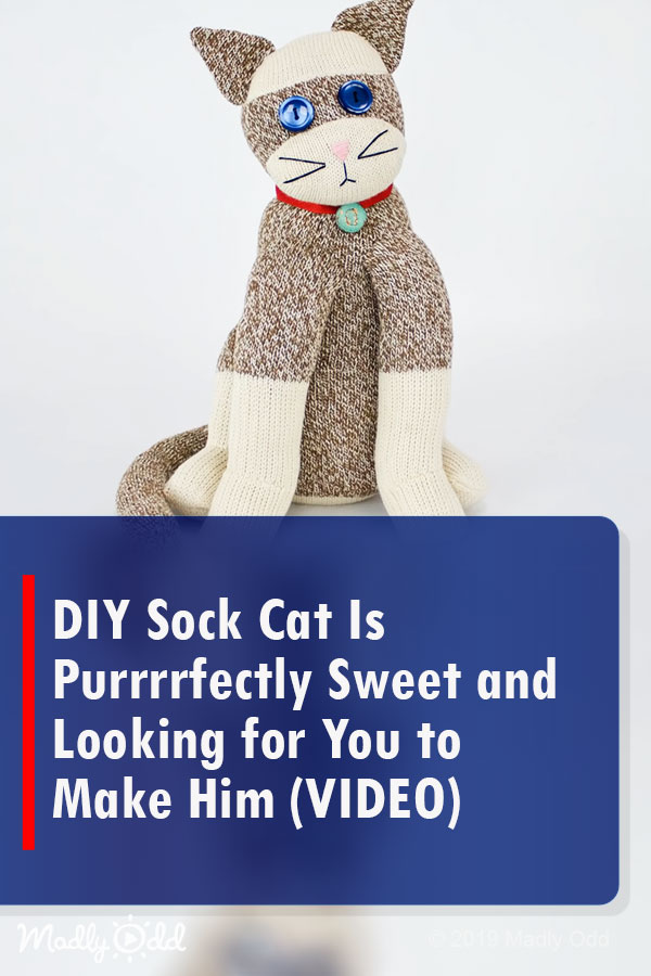 DIY Sock Cat Is Purrrrfectly Sweet and Looking for You to Make Him (VIDEO)
