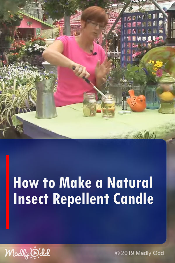 How to Make a Natural Insect Repellent Candle