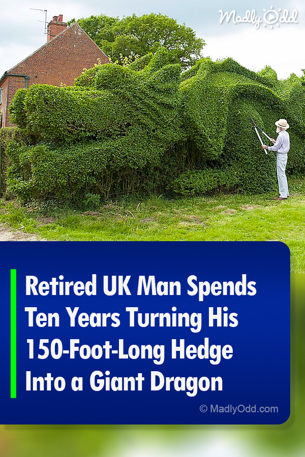 Retired Man Spends Ten Years Turning His 150-Foot-Long Hedge Into a Giant Dragon
