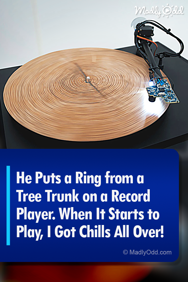 He Puts a Ring from a Tree Trunk on a Record Player. This Is the Most Extraordinary Sound of Nature I Have Ever Heard.