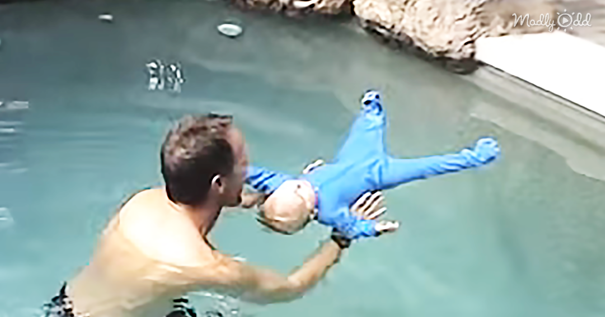 The Baby Fell Into the Pool. I Was Astounded how This Ended