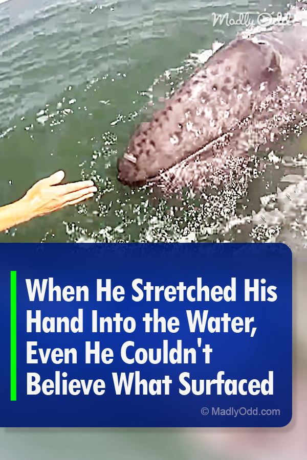 When He Stretched His Hand Into the Water, Even He Couldn\'t Believe What Surfaced