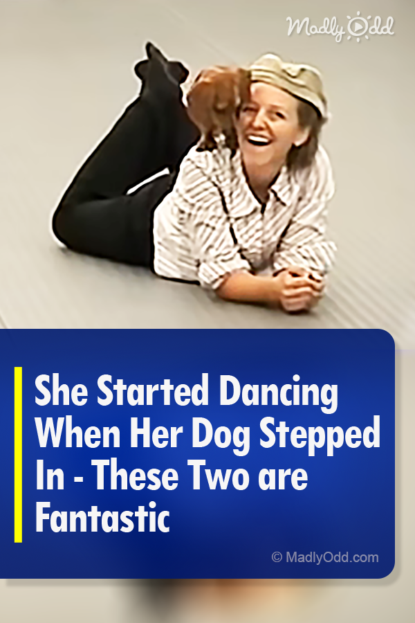 She Started Dancing When Her Dog Stepped In - These Two are Fantastic