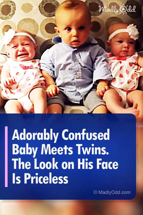 Adorably Confused Baby Meets Twins. The Look on His Face Is Priceless