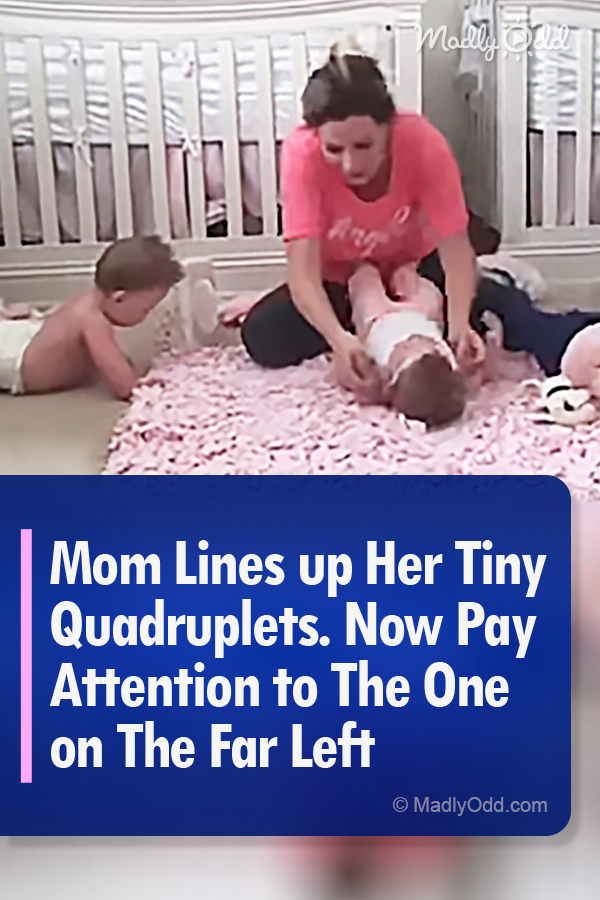 Mom Lines up Her Tiny Quadruplets. Now Pay Attention to The One on The Far Left