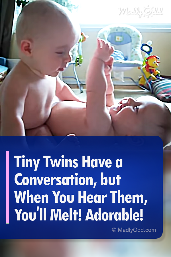 Tiny Twins Have a Conversation, but When You Hear Them, You\'ll Melt! Adorable!