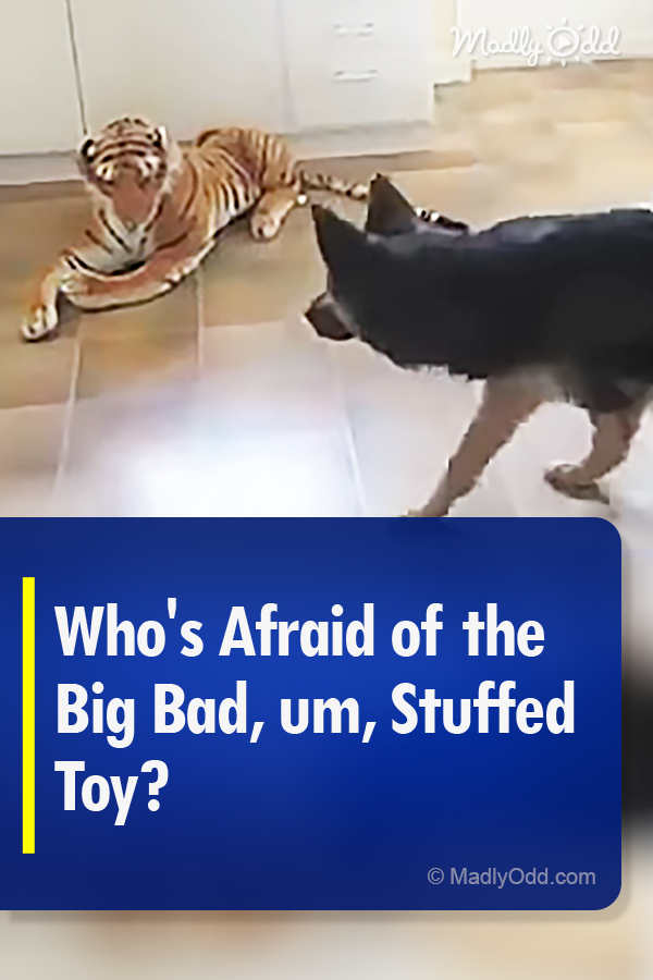 Who\'s Afraid of the Big Bad, um, Stuffed Toy?