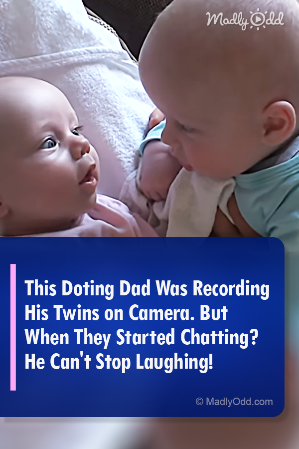 This Doting Dad Was Recording His Twins on Camera. But When They Started Chatting? He Can\'t Stop Laughing!