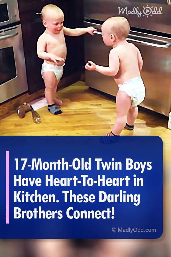 17-Month-Old Twin Boys Have Heart-To-Heart in Kitchen. These Darling Brothers Connect!