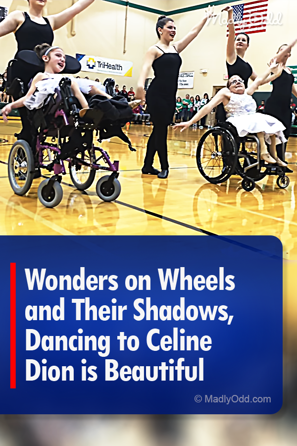 Wonders on Wheels and Their Shadows, Dancing to Celine Dion is Beautiful