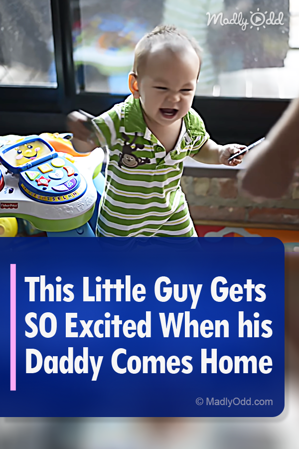This Little Guy Gets SO Excited When his Daddy Comes Home