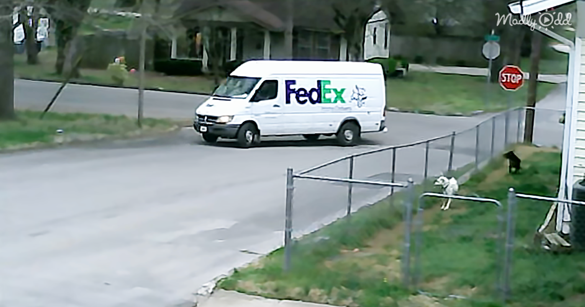 49179-OG1-Security-Camera-Caught-This-FedEx-Truck-on-The-Run.-I-REALLY-Didn’t-Expect-That