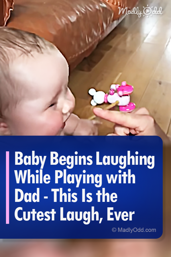 Baby Begins Laughing While Playing with Dad - This Is the Cutest Laugh, Ever