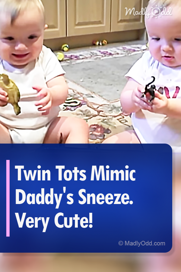 Twin Tots Mimic Daddy\'s Sneeze. Very Cute!