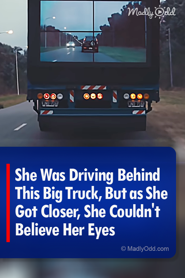 She Was Driving Behind This Big Truck, But as She Got Closer, She Couldn\'t Believe Her Eyes