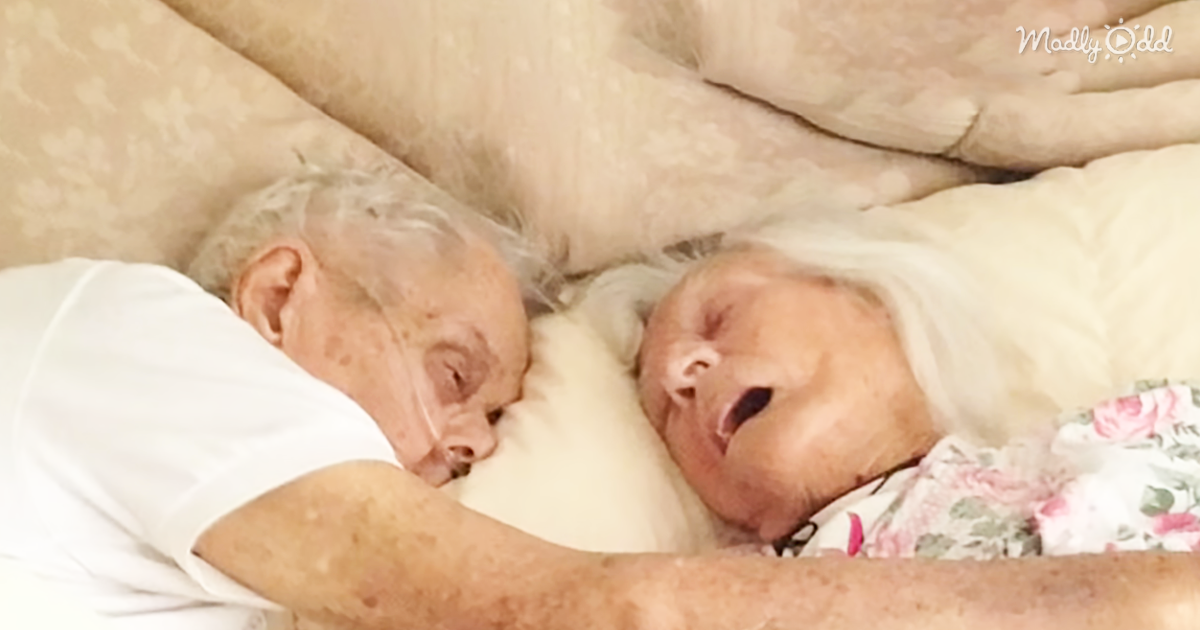 56010-OG3-Couple-Who-Vowed-To-Die-In-Each-Other’s-Arms-Celebrate-Their-75th-Wedding-Anniversary