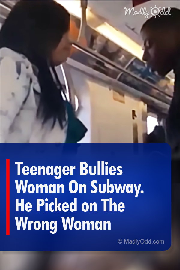 Teenager Bullies Woman On Subway. He Picked on The Wrong Woman