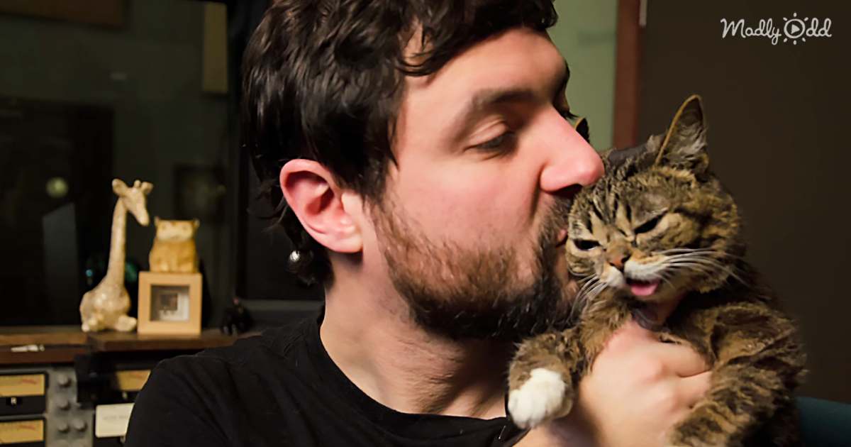 6049-OG2-Meet-Lil-Bub,-the-Incredibly-Cute-Internet-Cat-Who-Is-Different-than-All-the-Others,-in-So-Many-Ways