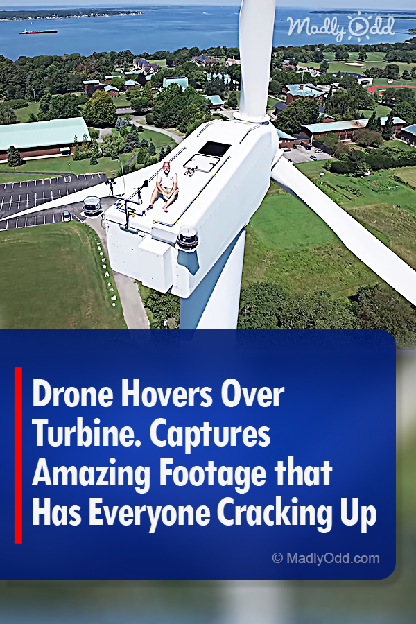 Drone Hovers Over Turbine. Captures Amazing Footage that Has Everyone Cracking Up