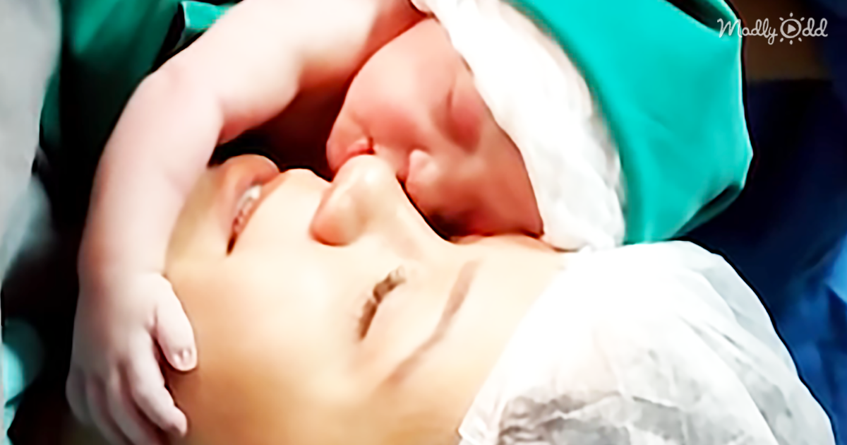 63108-OG2-Nurse-Films-Newborn-Cuddling-Mom’s-Face-and-It-Is-Beautiful