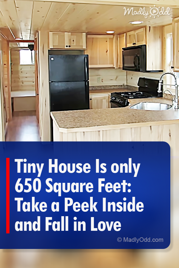 Tiny House Is only 650 Square Feet: Take a Peek Inside and Fall in Love