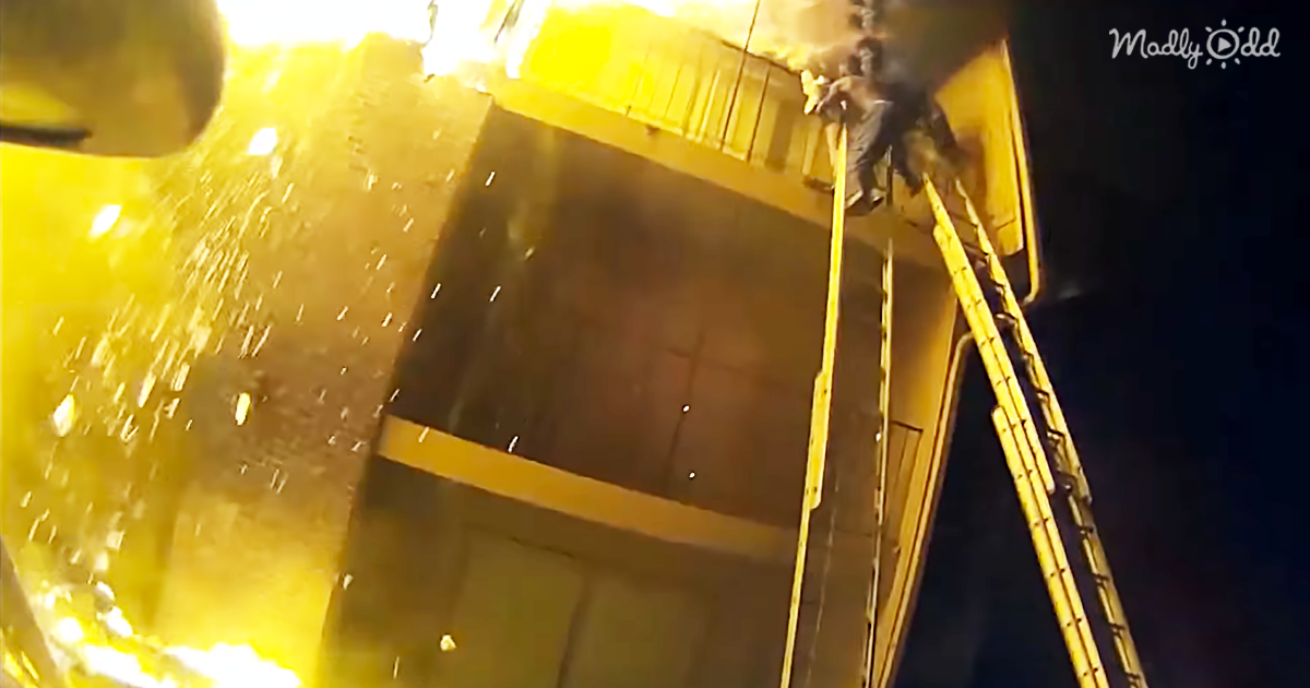 67161-OG1-Dramatic-Rescue-Footage-from-A-Burning-Building-Outstanding