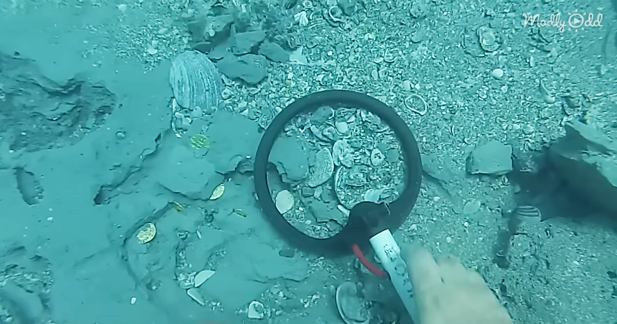 67891-OG1-Luckiest-Diver-in-The-World-Uses-Metal-Detector-to-Find-1-Million-Dollar-Treasure-on-The-Sea-Floor