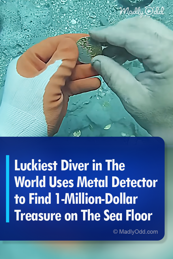 Luckiest Diver in The World Uses Metal Detector to Find 1-Million-Dollar Treasure on The Sea Floor