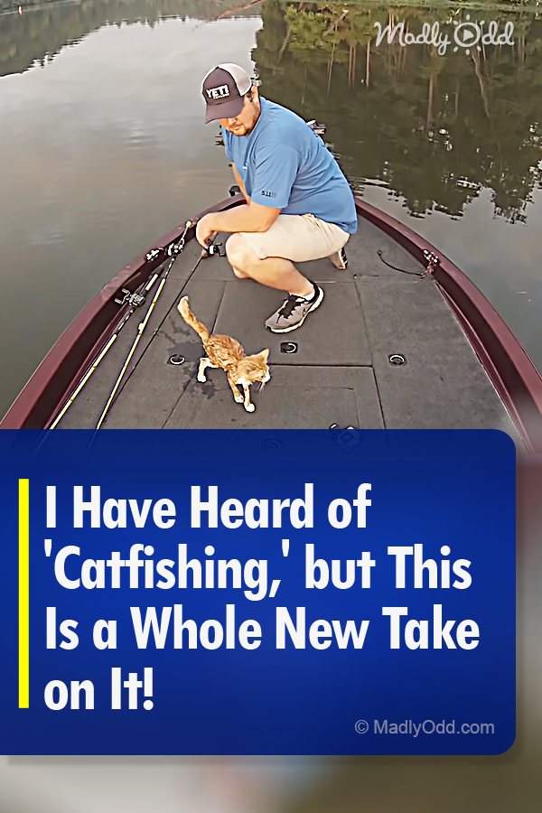 I Have Heard of \'Catfishing\' but This Is a Whole New Take on It!
