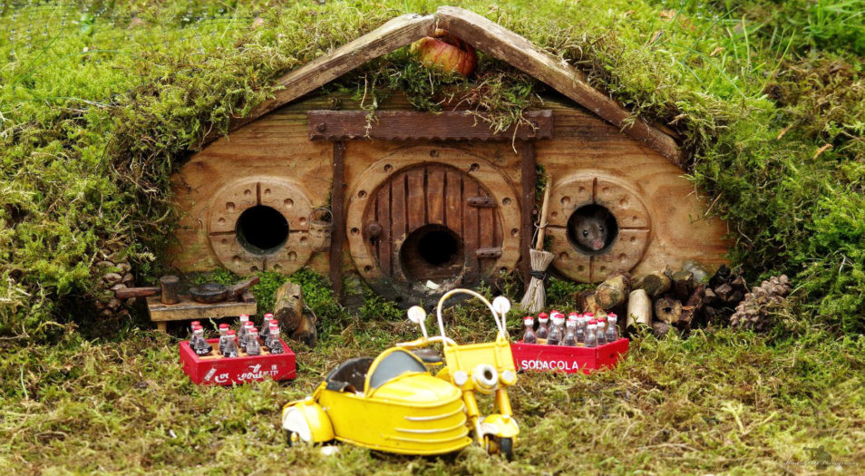 Mouse house