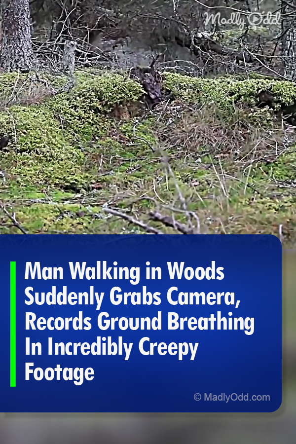 Man Walking in Woods Suddenly Grabs Camera, Records Ground Breathing In Incredibly Creepy Footage