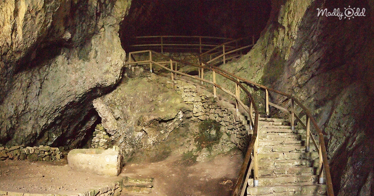 postojna cave park inset2
