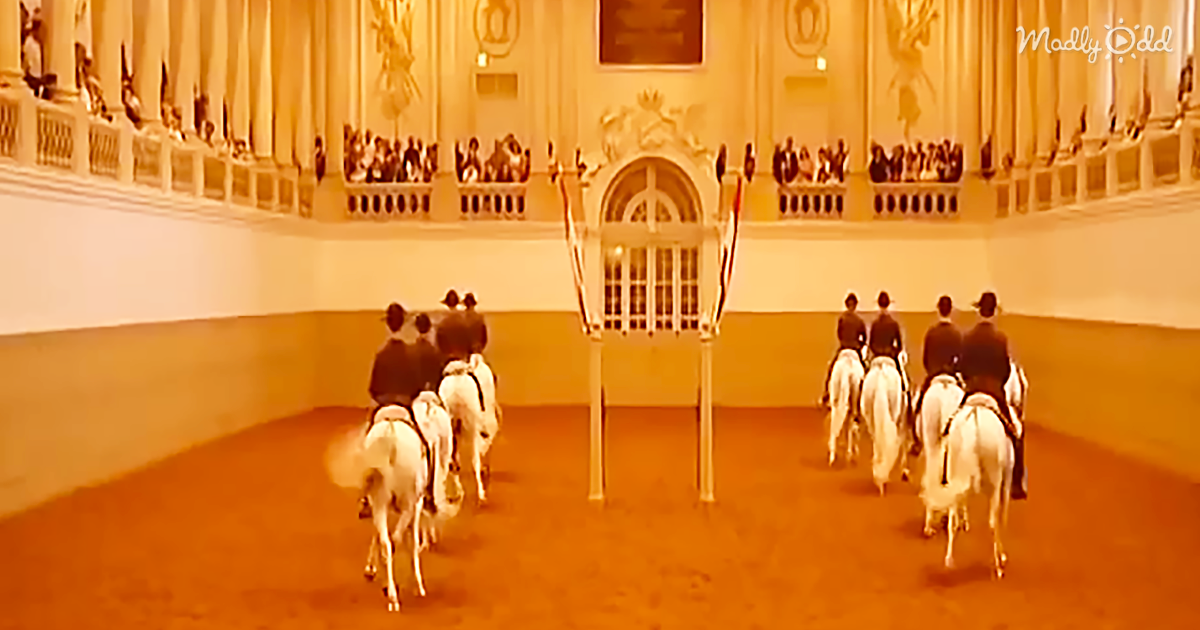 22740-OG2-Group-Of-Horses-Perform-A-Majestic-Synchronized-Dressage-Routine