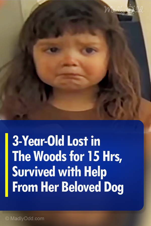3-Year-Old Lost in The Woods for 15 Hrs, Survived with Help From Her Beloved Dog