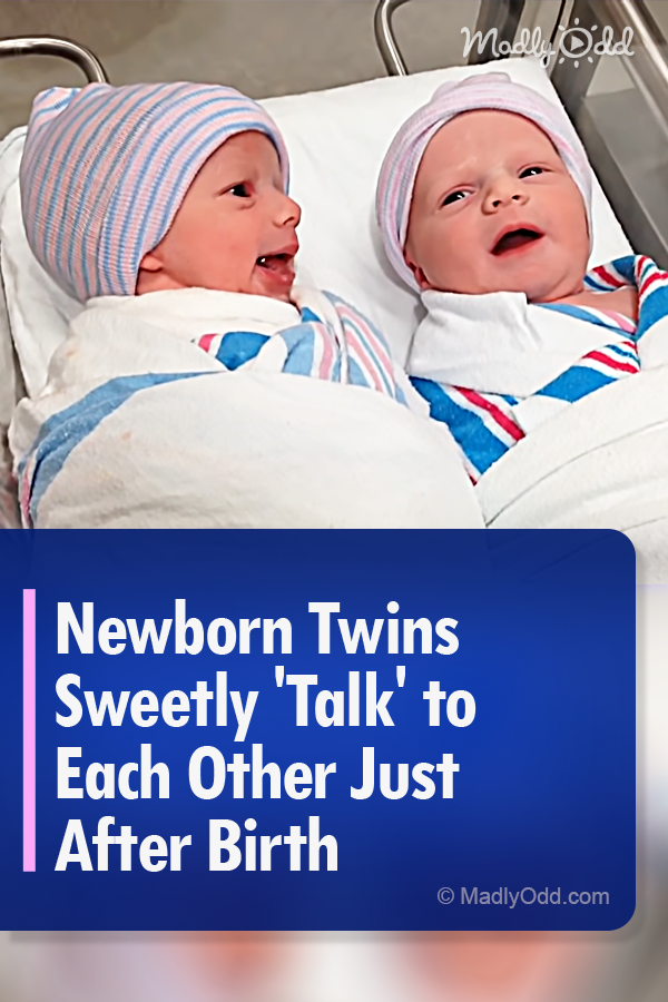 Newborn Twins Sweetly \'Talk\' to Each Other Just After Birth